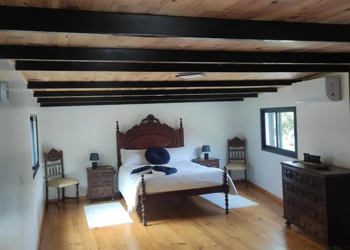 Little Hideaway Casa vacanze São Vicente